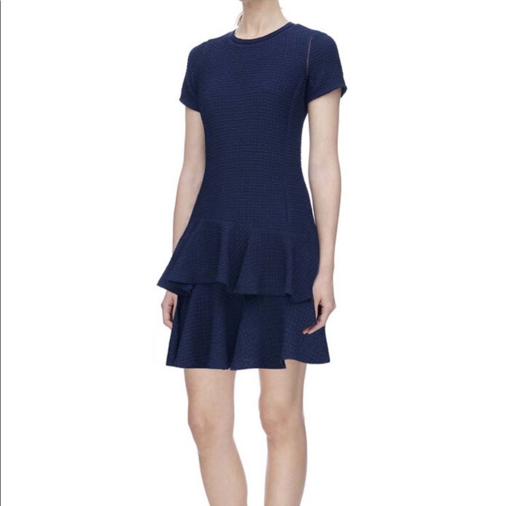NWOT REBECCA TAYLOR DRESS